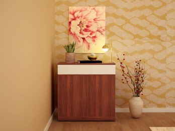 Meraki Shoe cabinet