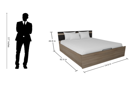 ZEN PRO KING